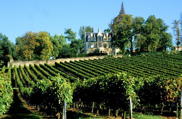 The wonderful world of Bordeaux wines